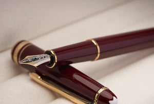Penna Stilografico  Montblanc Meisterstück Glacier Classique